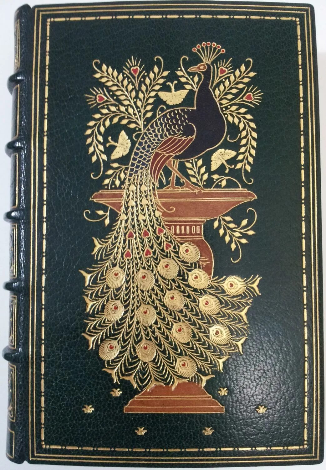 Книга 1894 джордж. Книга 1894 джордж
