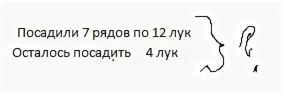 Сколько луковиц в каждом ряду. Юля посадила 18 луковиц в 3 ряда поровну сколько луковиц в каждом ряду. Школьники посадили 4 ряда по 7 елей в каждом им еще осталось посадить 17. Школьники посадили 4 ряда по 7 елей схема. Юля посадила 18 луковиц в 3.