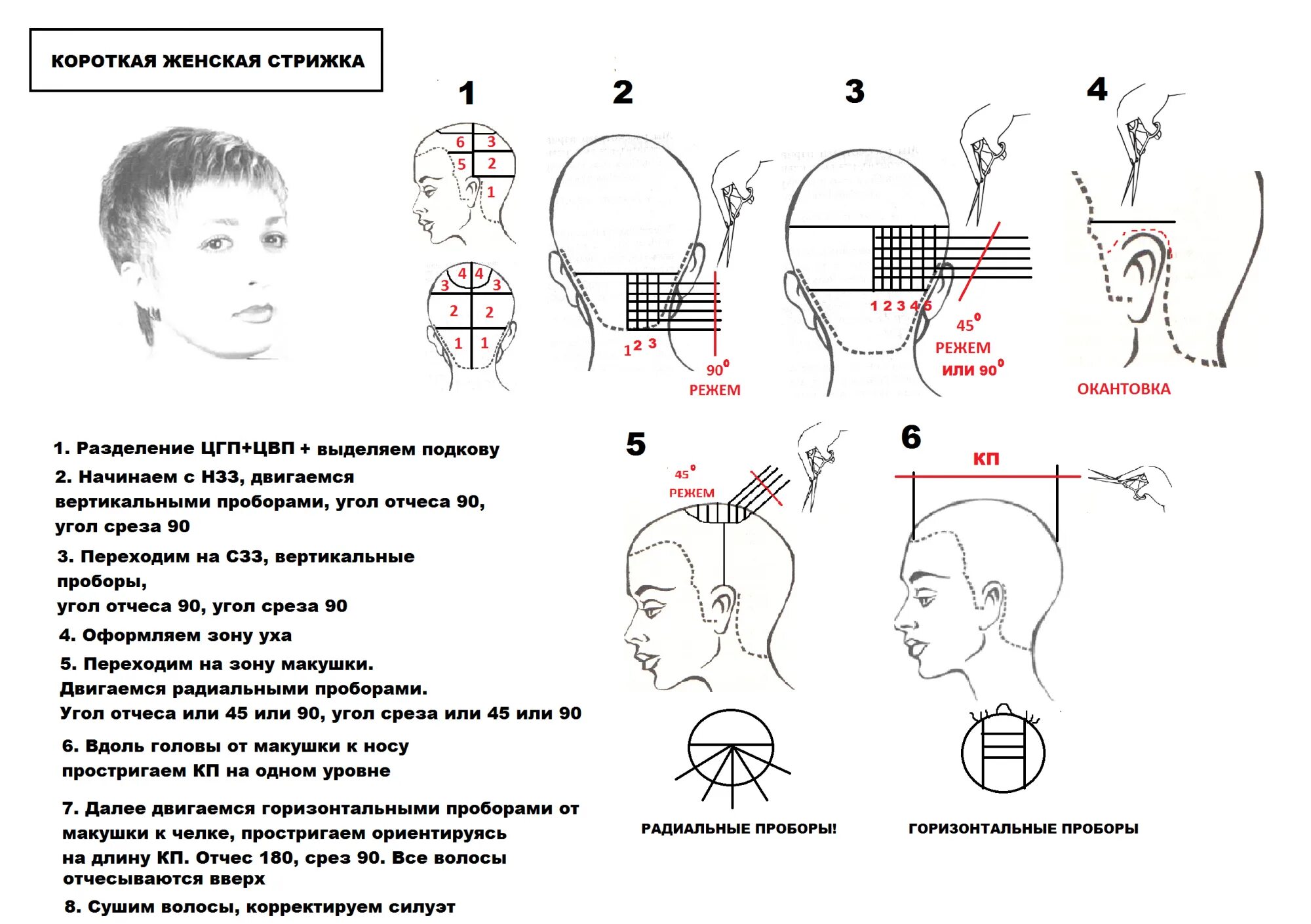 Технология выполнения мужской стрижки. Технология выполнения стрижка Гарсон на короткие волосы. Стрижка Гарсон технология выполнения со схемами. Стрижка Пикси схема выполнения стрижки. Схема мужской стрижки полубокс.