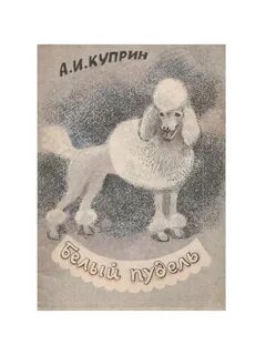 Кличка белого пуделя 4