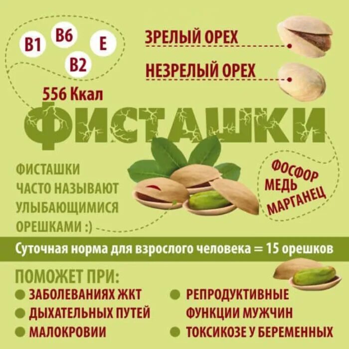 Фисташки полезные свойства. Польза и вред фисташек. Польза и вред фисташек. Что полезного в фисташках. Фисташки польза.