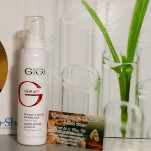 La age. Archeage фон. государственный университет сан-хосе. игра break. Age of empires 4 gameplay.