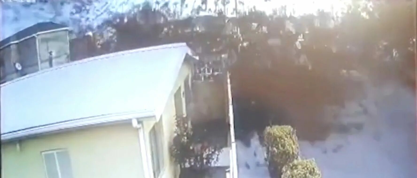 Птицы падают с неба. Дождь из птиц. Птица упала на землю. Канадский гусь атакует. Сотни птиц упали с неба.