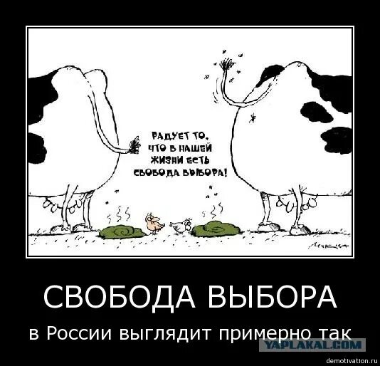 Давайте выберем