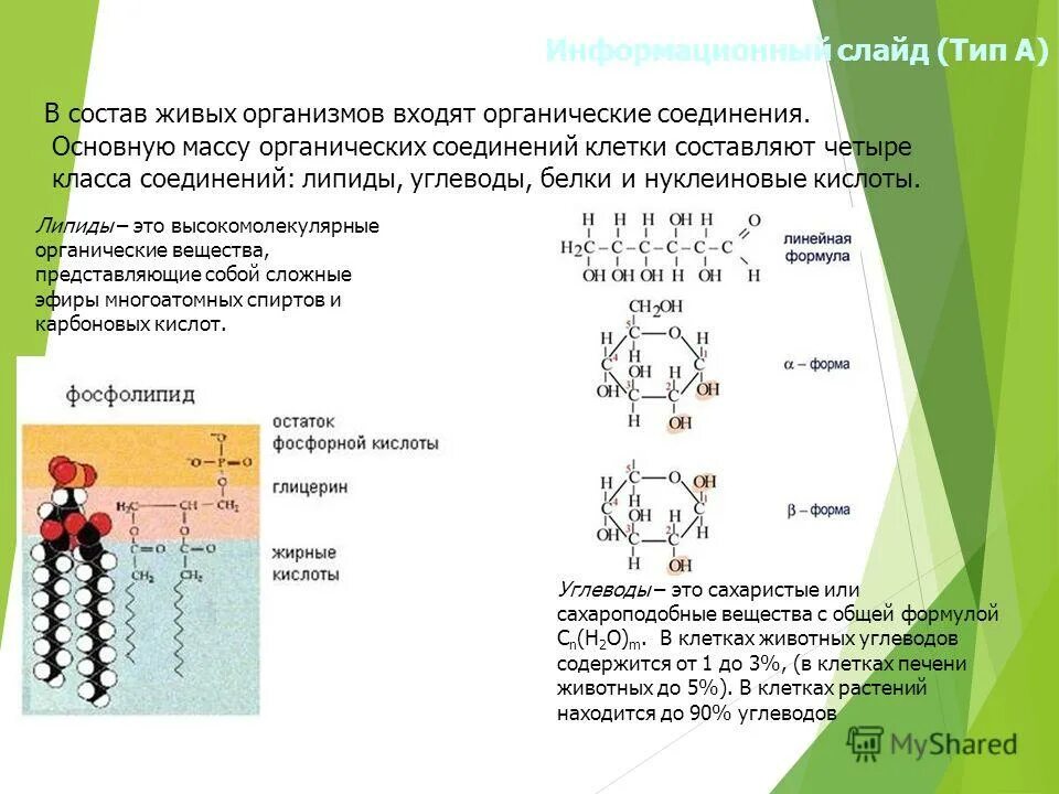 Основная состоит из живых