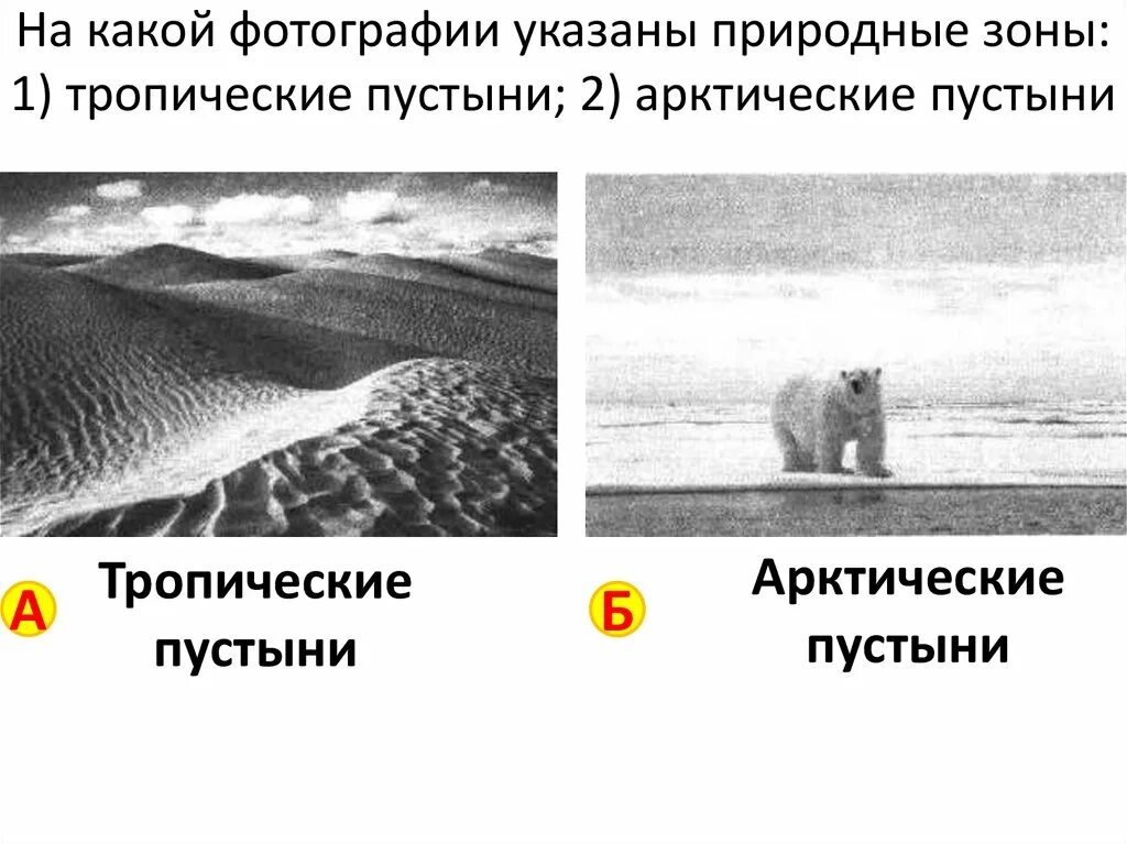 В какой из указанных природных. В какой из указанных природных