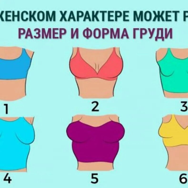2 размер и 3 размер сравнение. Формы груди. размер груди. размеры женской груди. размеры груди отличия.