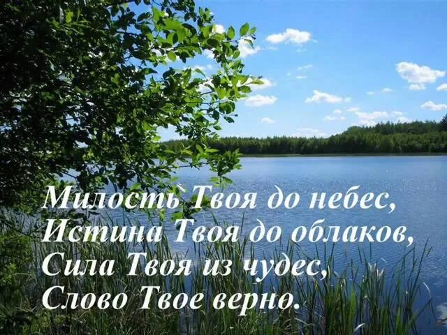 Небо правду знает небо верных принимает. Милость твоя до небес. Милость твоя до небес истина твоя. Милость Божья до небес и истина до облаков. Отец и сын и дух Святой в тебе находим мы покой.