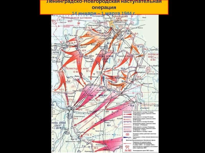 Ленинградско-Новгородская наступательная операция. Ленинградско-Новгородская наступательная операция карта. Ленинградско-Новгородская операция 1944 карта. Новгородская операция 1944