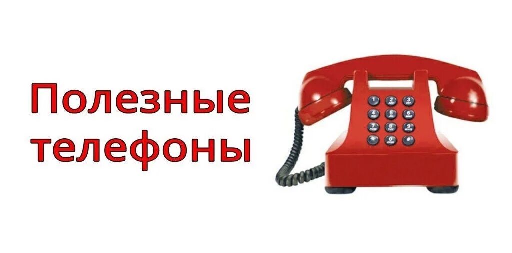 Нужны контактные телефоны