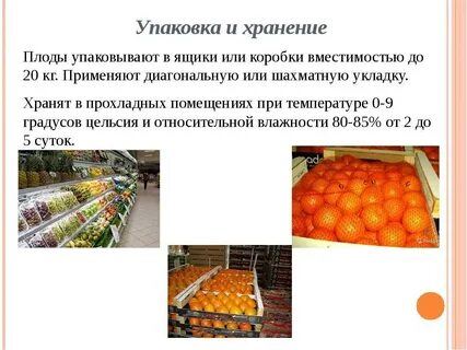 Срок годности плодов
