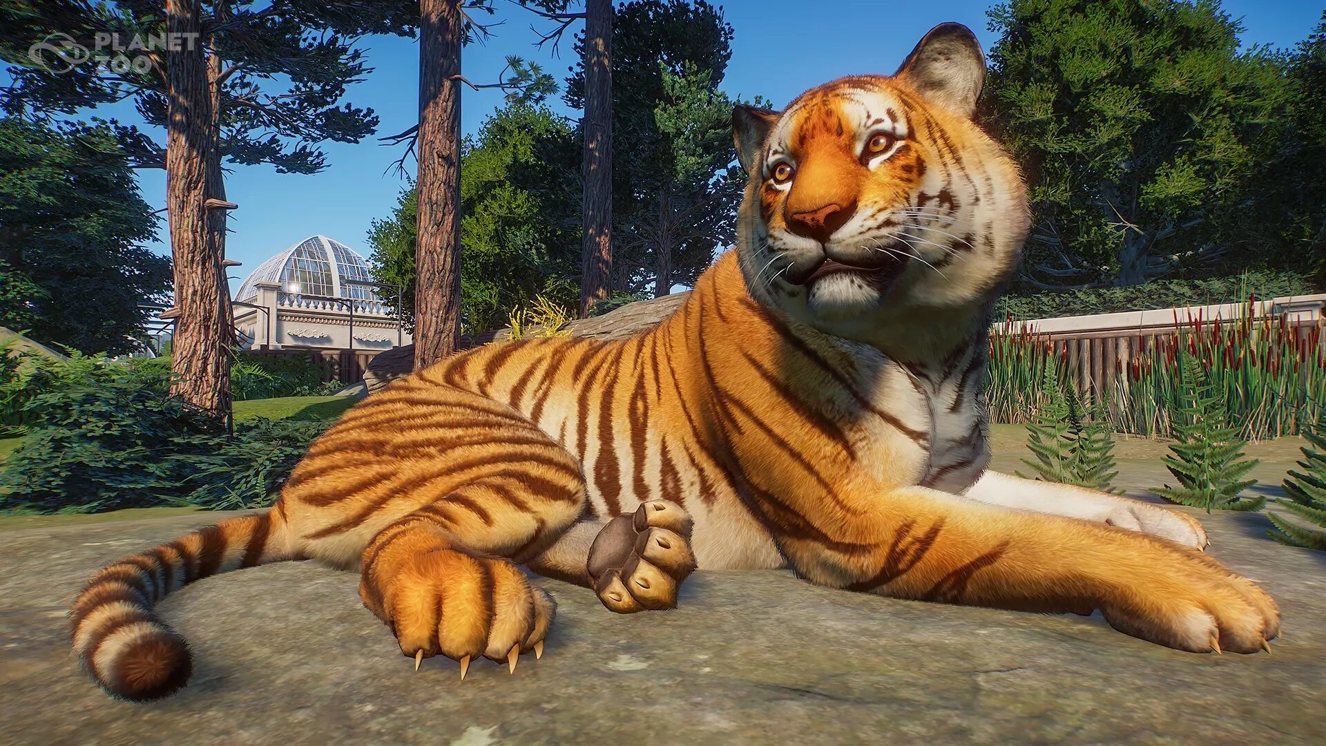 Планета животных игры. Игра Planet Zoo. Планета зоопарк игра. Planet Zoo зоопарки. Зоопарки в планет ЗУ.