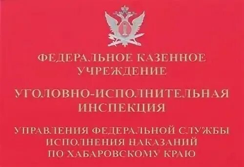 В чем суть уголовно исполнительной инспекции. Уголовно исполнительная инспекция. уголовно исполнительная испекция. уголовная исполнительная инспекция логотип. уголовно исполнительная инспекция красноярского края.