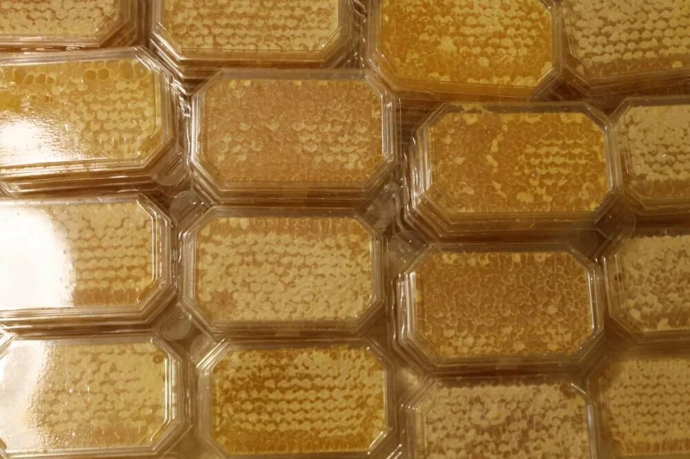 Сотовый мед. Мёд в сотах. Соты меда. Цветочный мед в сотах.
