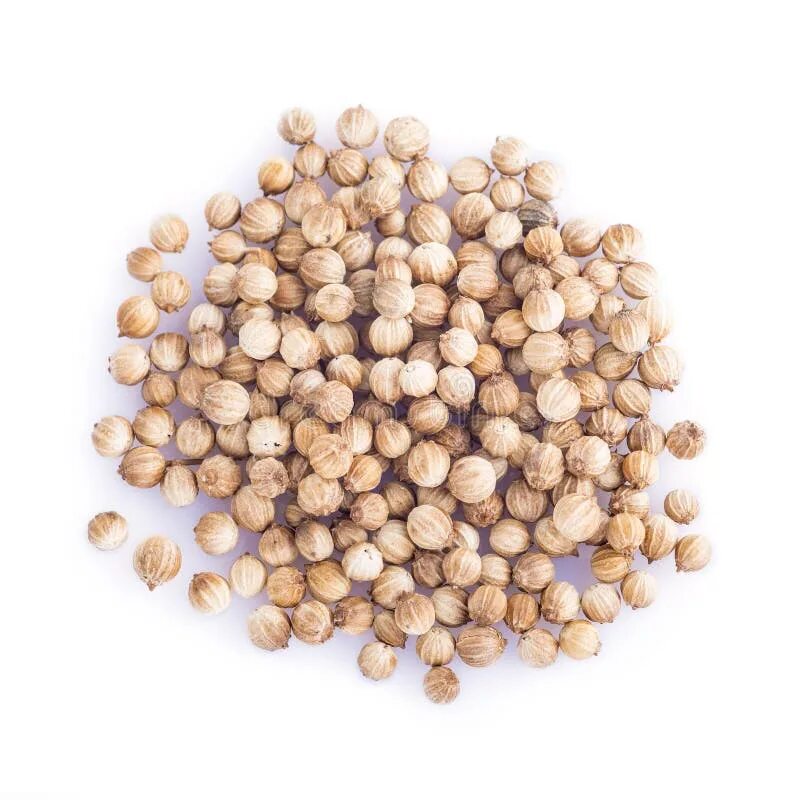 Кориандр семена, зерна (Coriandrum) EVERNUTS, 1000 г. - купить в интернет-магази