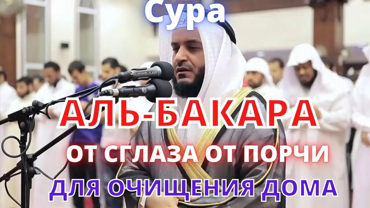 Альбакара прослушать мишари. Сура от сглаза и порчи Аль Бакар. Суры для очищения дома. Сура курси. Чистка дома слушать Сура.