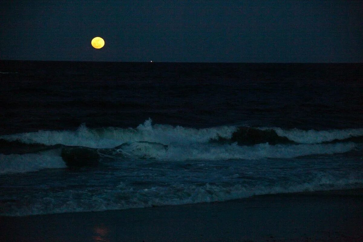 Night sea codes. Пляж ваадху мальдивы. Ночное море. Ночное море. Ночное море.