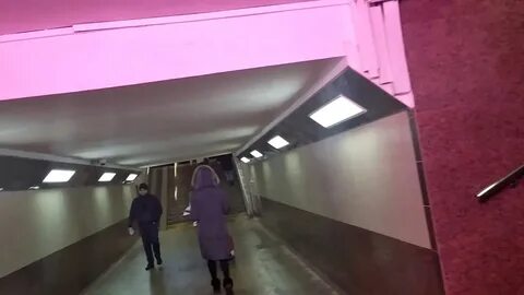 Самара ярославль поезд