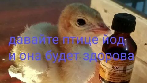 Йод курам