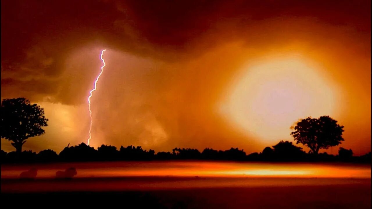 Savannah storm