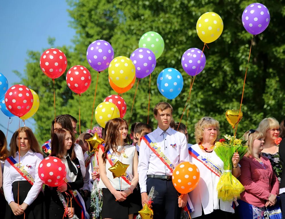 МБОУ СОШ 84 Воронеж. Директор школы 84 Воронеж. Школа в Тепличном Воронеж. Школа 84 город Воронеж. Школы воронежа сегодня