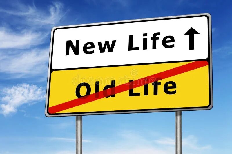 The new life. The new life. New life logo. New life download. The new life.