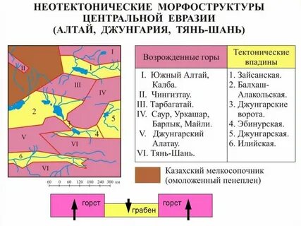 Морфоструктуры равнин