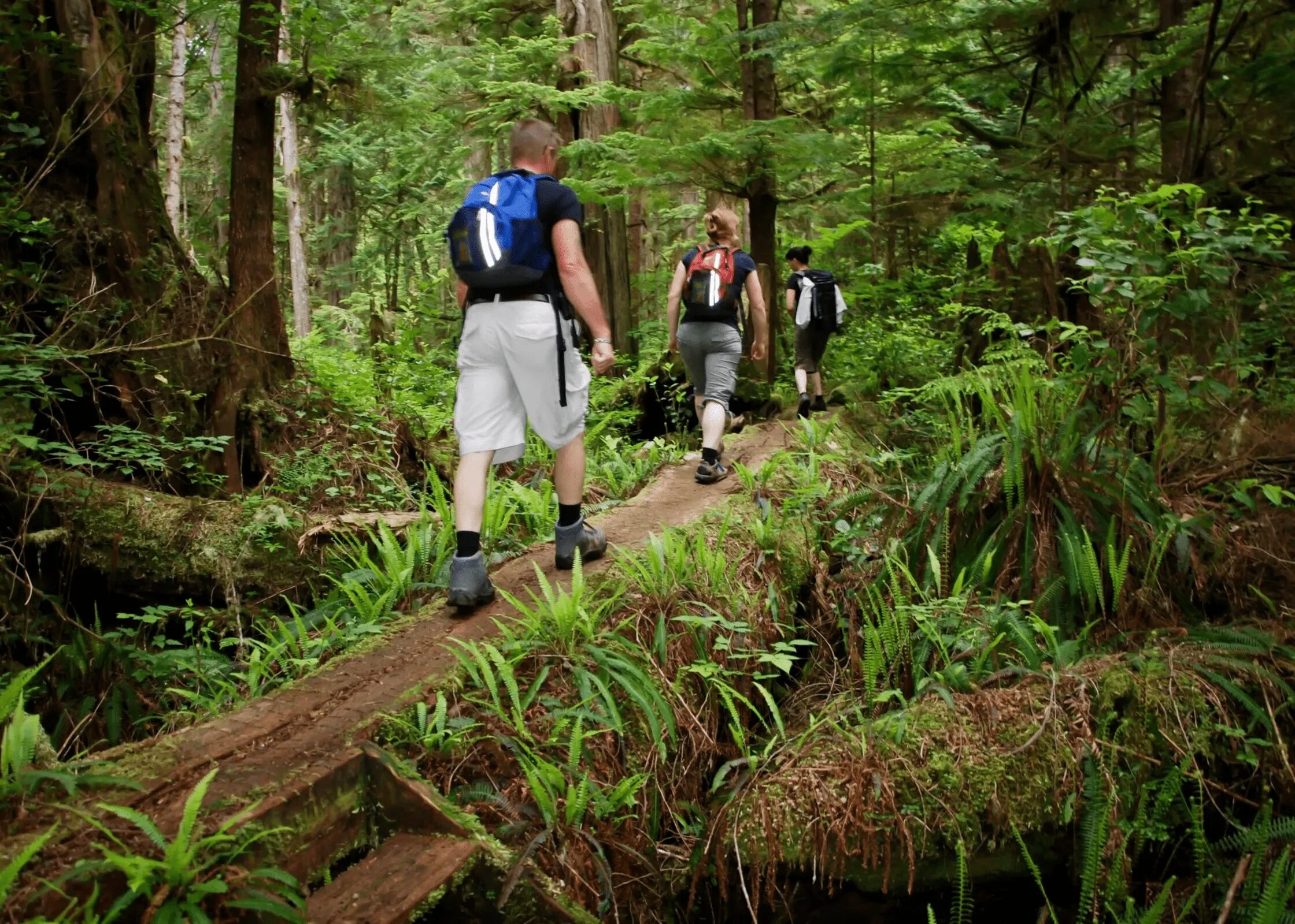 Ecotourism is getting more and more popular