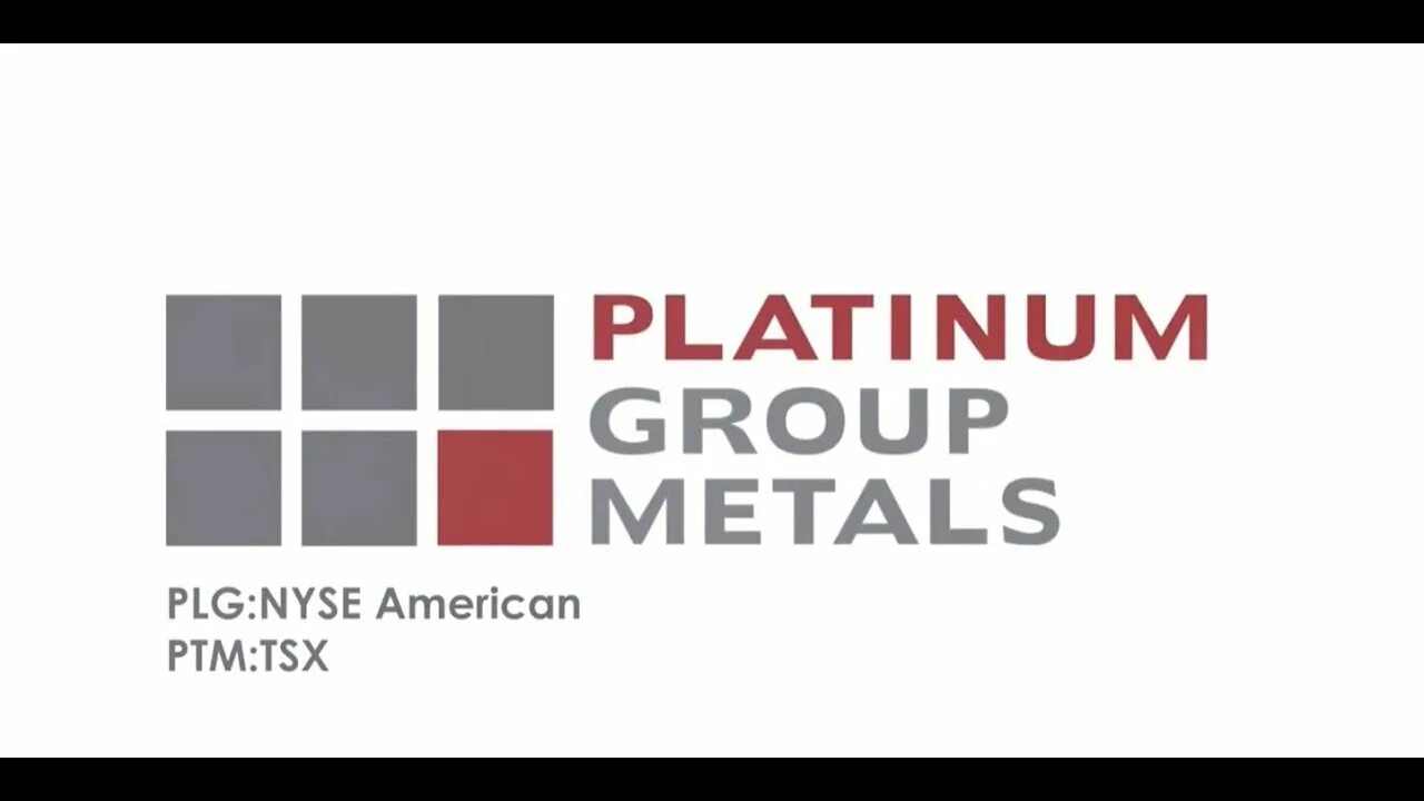 Platinum group. Platinum group. Группа platinum. Ооо platinum trade group. Логотип платинум недвижимость.