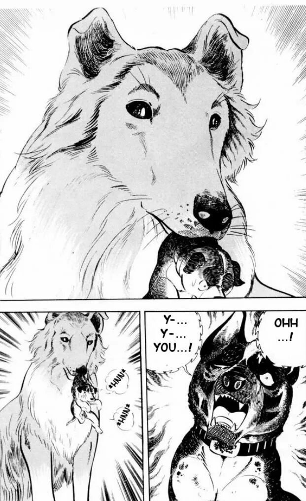 Ginga Nagareboshi Gin Левиафан. Секретный клуб щенков комикс. Manga Dogs. Яой Манга с щенкам.