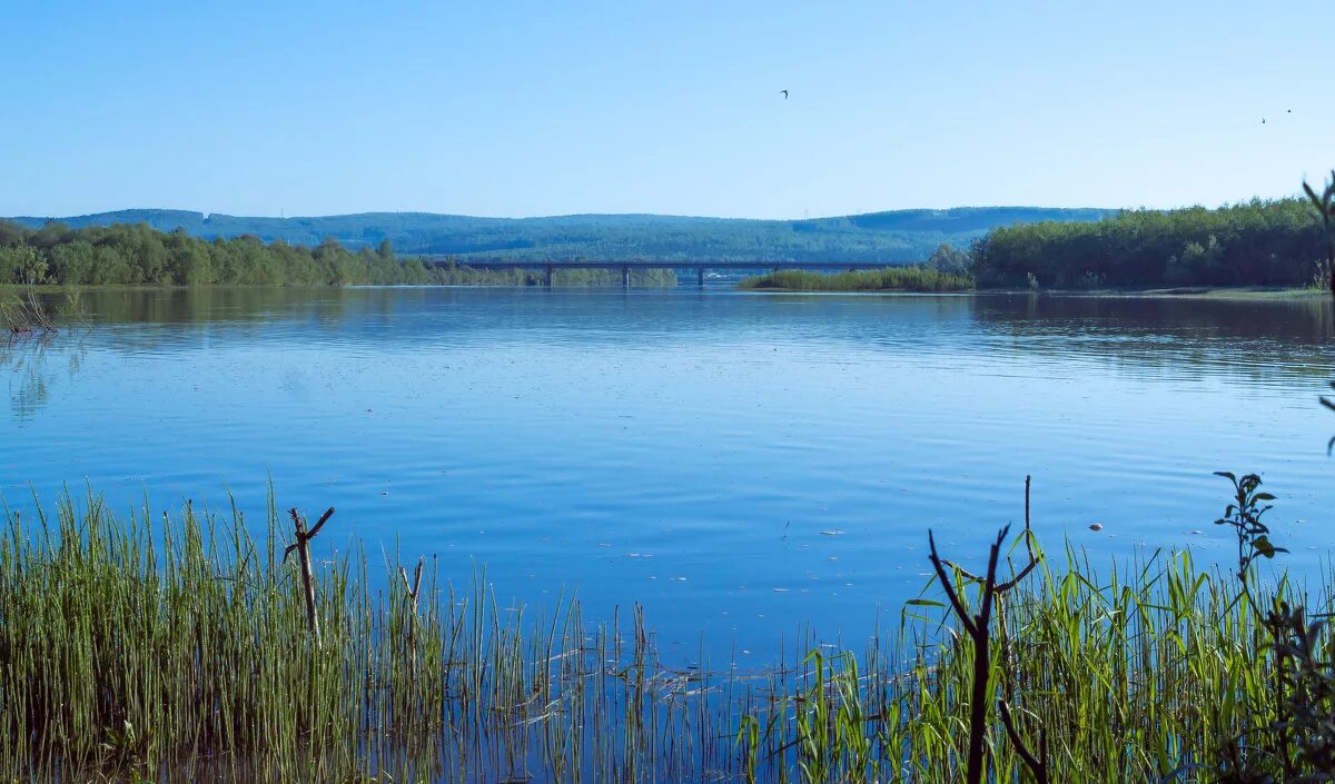 чулым (приток оби). чулым (приток оби). самая протяженная река в красноярском крае чулым. река чулым асино. самая протяженная река в красноярском крае чулым.