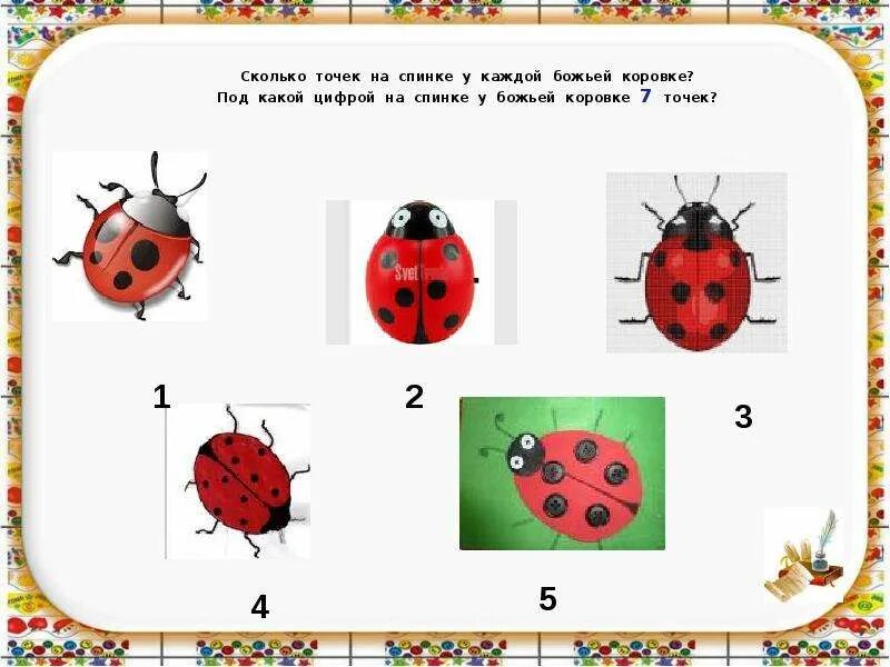 Строение Божьей коровки для детей. Задания по теме Божья коровка для малышей. Божья коровка строение тела.