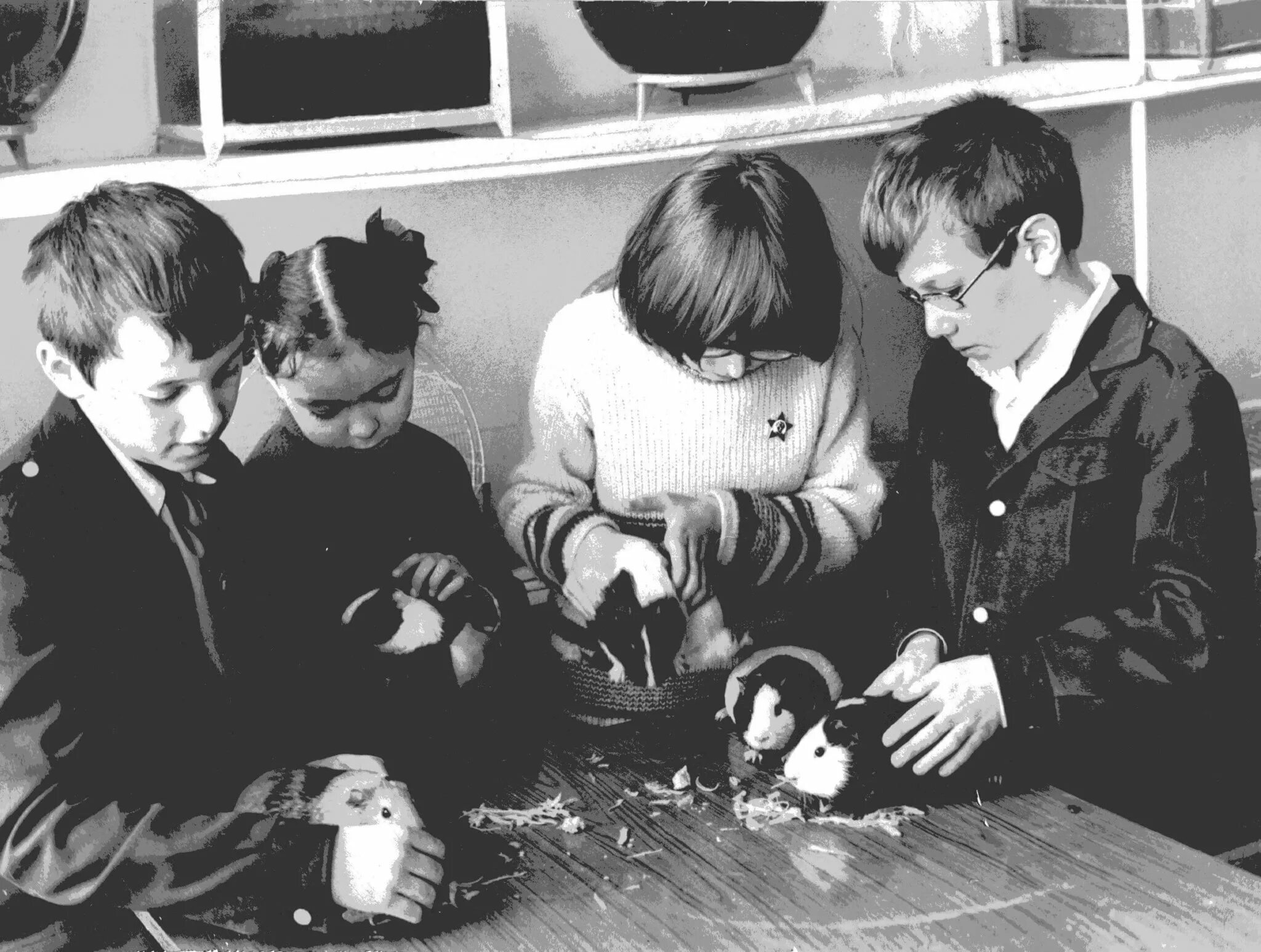 Клуб юных натуралистов движение первых. Клуб юных натуралистов движение первых. Юннаты россии. Юннаты россии. Клуб юных натуралистов движение первых.