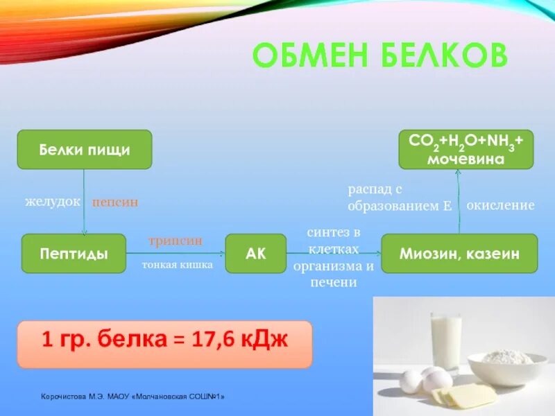 Схема обмена белка в организме. Процессы обмена белков в организме. Обмен белков схема. Обмен белков в организме человека схема. 2 белковый обмен