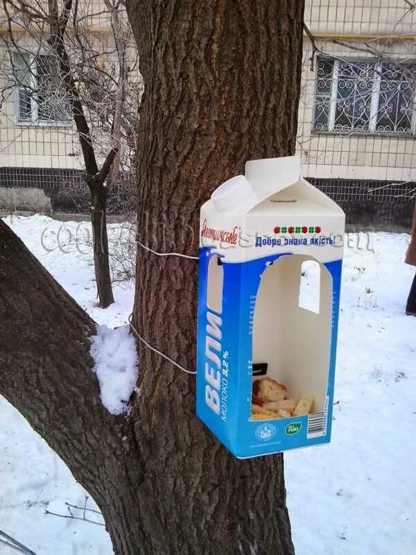 Кормушки для птиц из коробок. Кормушка для птиц из коробки. Кормушки из коробок из под сока. Кормушка из коробки молока. Кормушки для птиц из коробок.