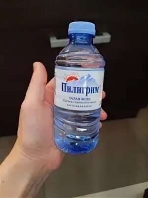 Маленький пилигрим