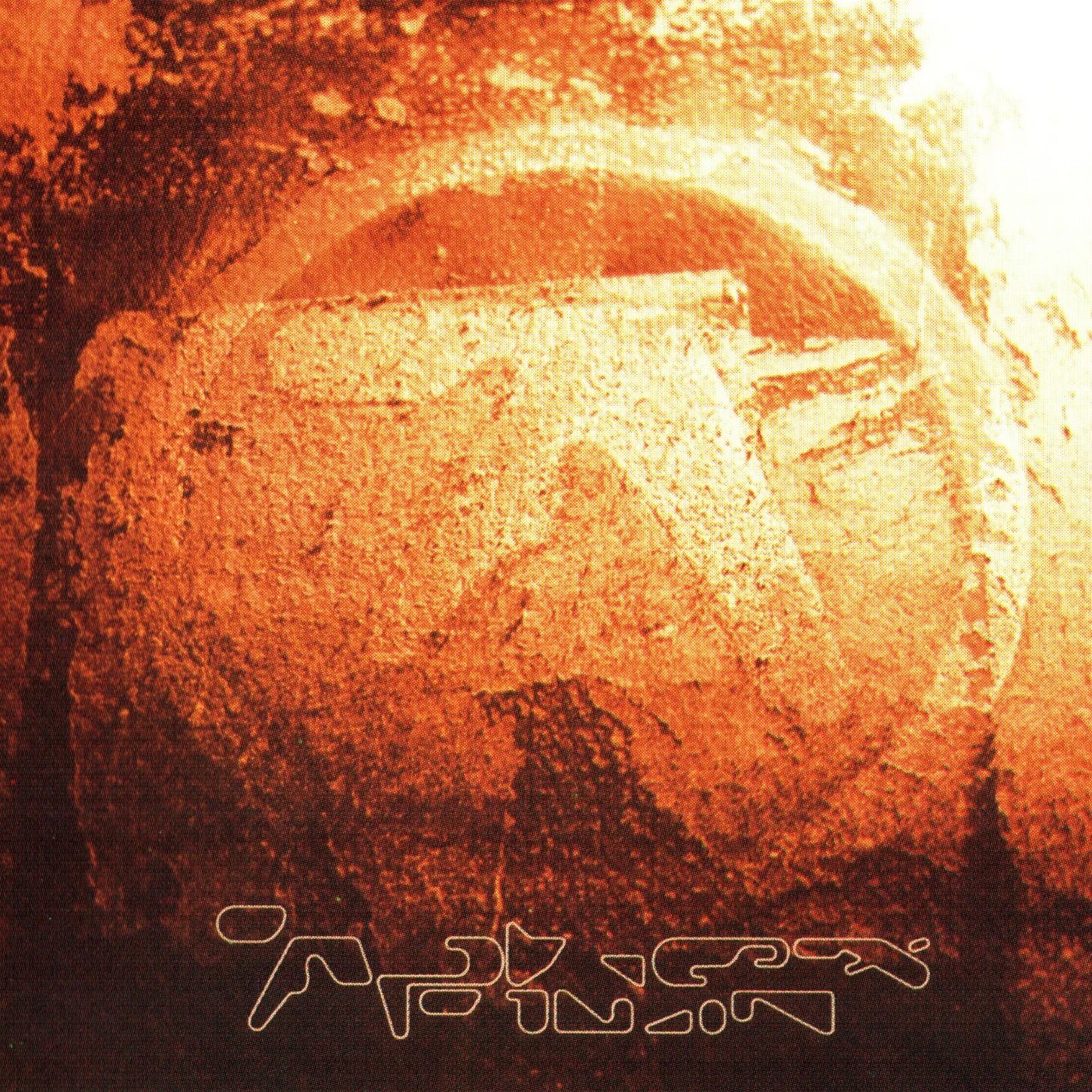 Aphex twin selected ambient works. Aphex twin selected ambient works volume 2. aphex twin selected ambient works 85-92. aphex twin selected ambient works volume ii album cover.