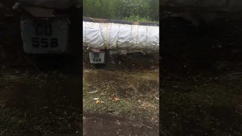 Погода кубра