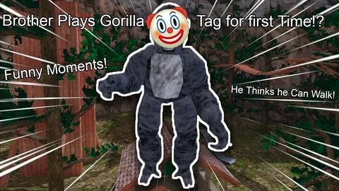 Gorilla testing
