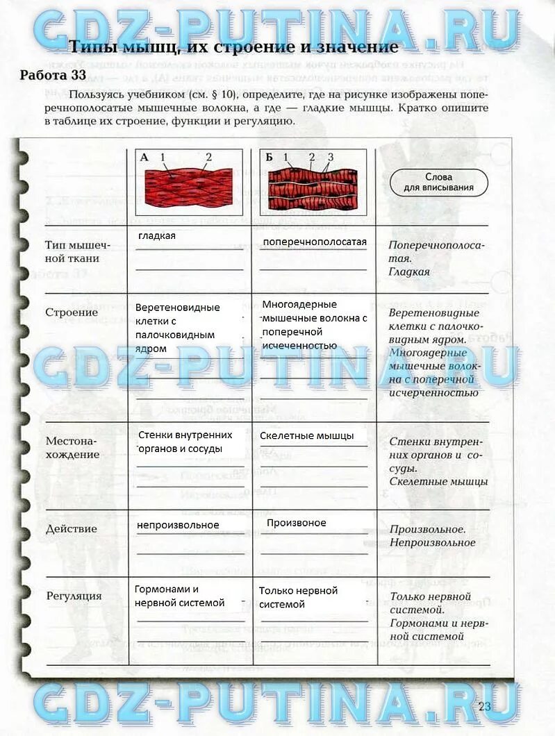 Биология 8 класс 1 параграф. Таблица ткани 8 класс биология драгомилов. Биология 8 класс драгомилов таблица. Биология 8 класс драгомилов учебник таблица. Гдз биология 8 класс таблица систем органов.