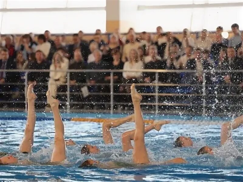 Синхронное плавание в ростове на дону. Бассейн локомотив красноярск. Краевые соревнования по плаванию хабаровск. Всероссийских соревнований по плаванию: «кубок ректора пгуфксит». Swimming красноярск.