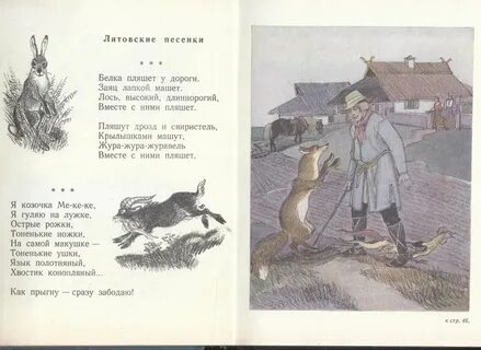 Песня белки текст