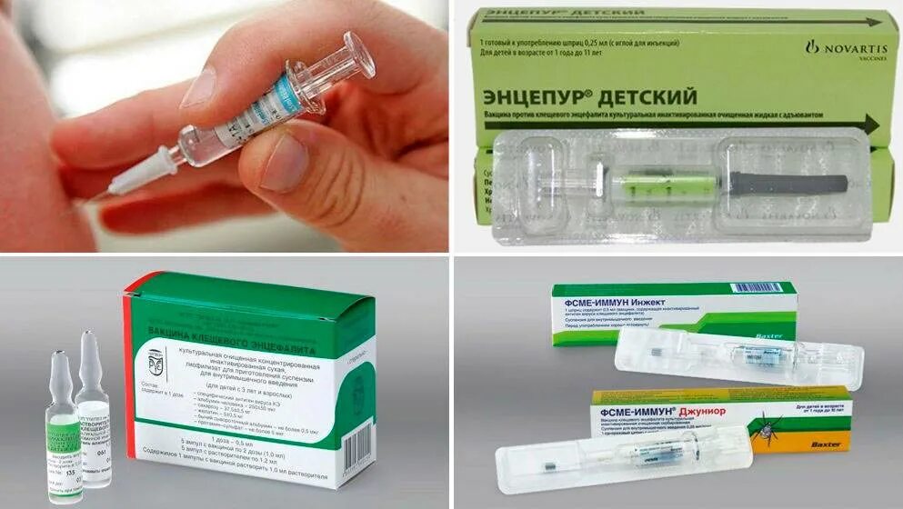 Вакцина ФСМЕ-иммун инжект/Джуниор. Вакцинация против клещевого энцефалита вакцины. Прививочная вакцина от клещевого энцефалита. Против клещевого энцефалита вакцина энцевир.