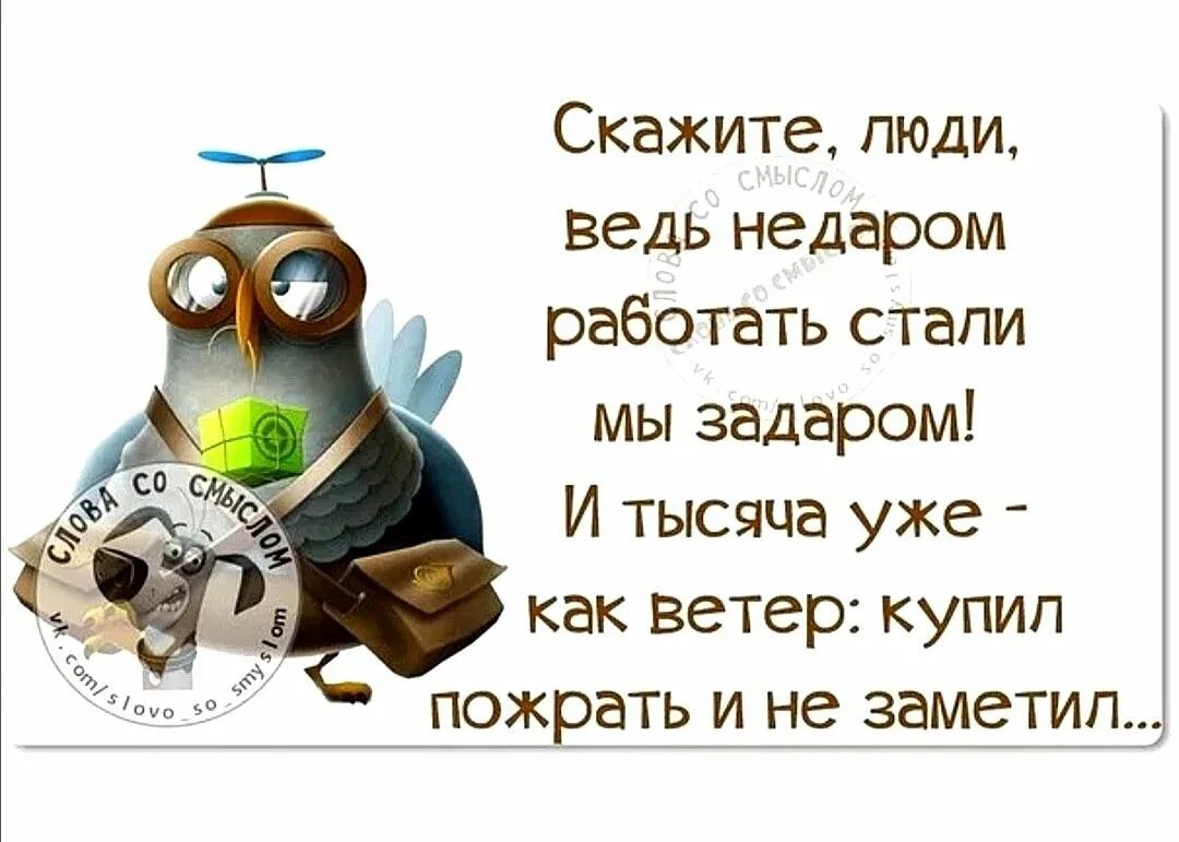 Статус в ватсап со смыслом прикольные картинки. Веселые картинки со смыслом. слова со смыслом в картинках прикольные. статусы прикольные со смыслом в картинках. смешные цитаты со смыслом.
