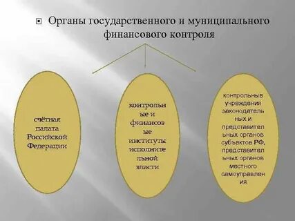 Органы государственного и муниципального финансового контроля