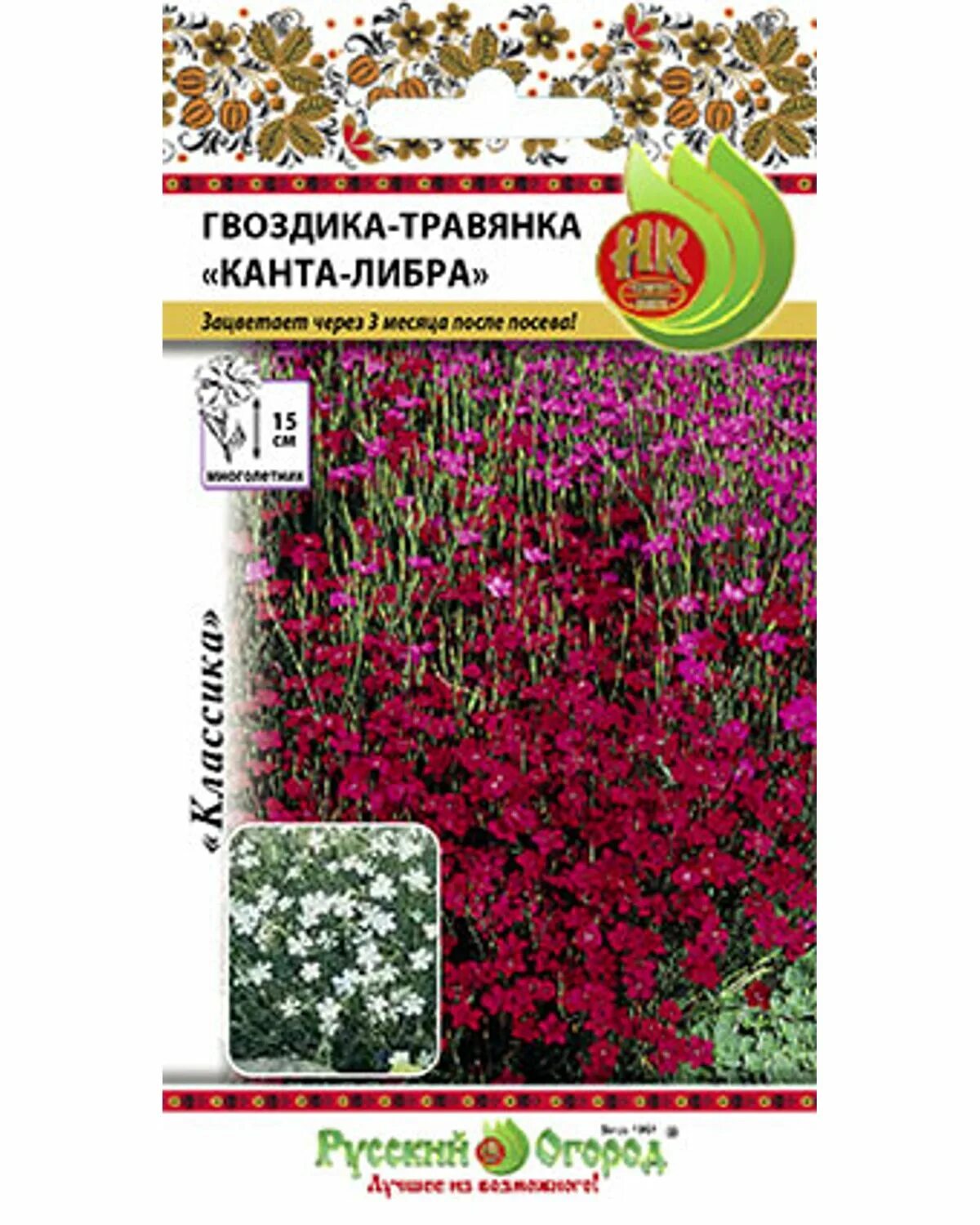 Гвоздика травянка многолетняя семена. Гвоздика травянка Канта Либра. Гвоздика травянка многолетняя. Гвоздика травянка семена.