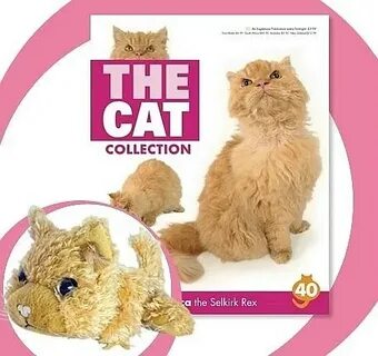 The cat collection