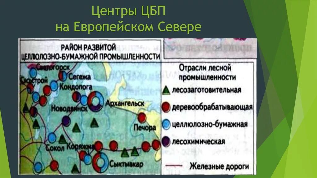 Центры Лесной промышленности европейского севера. Лесной комплекс в Северо Западном экономическом районе. Центры целлюлозно бумажной отрасли в России города. Центры Лесной промышленности европейского севера на карте. Центры производства северо западного района