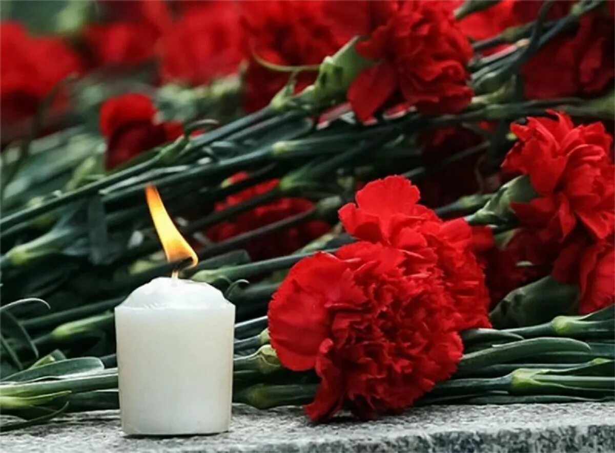 Про траур. Гвоздики память. траурные цветы. свеча и цветы траур. свеча и гвоздики.