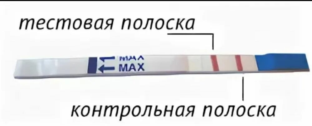 Контрольная полоска на тесте на беременность. Тестовая и контрольная полоска на тесте на беременность. Эвитест тестовая полоска ярче контрольной. Контрольная линия на тесте на беременность. Контрольный тест на беременность